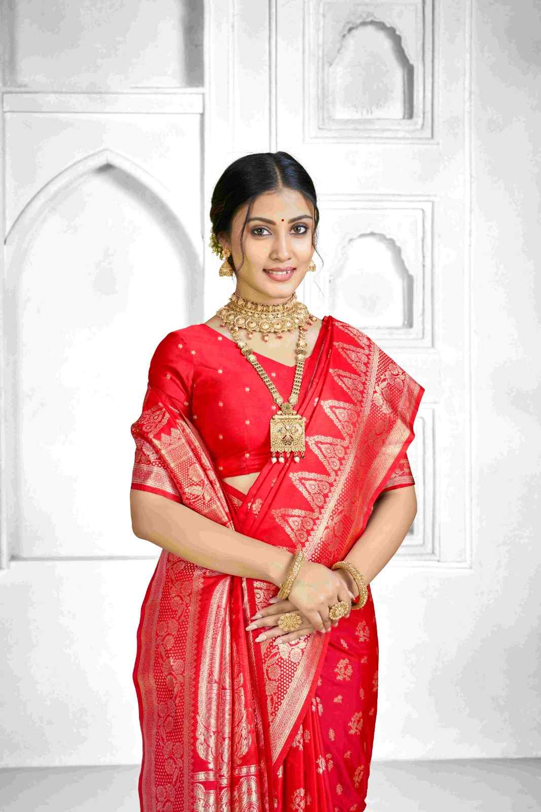 Catalog Designer Saree.