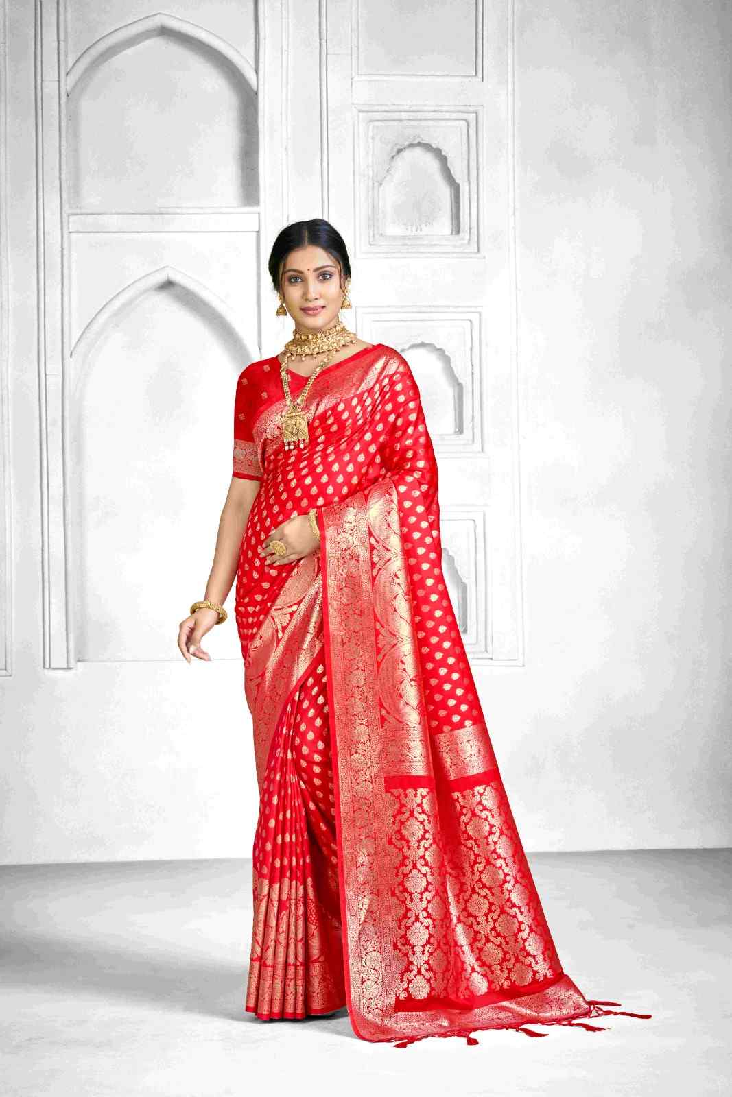 Catalog Designer Saree.
