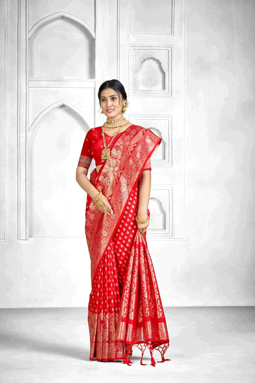 Catalog Designer Saree.