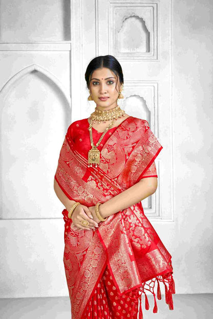 Catalog Designer Saree.