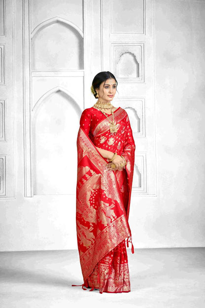 Catalog Designer Saree.