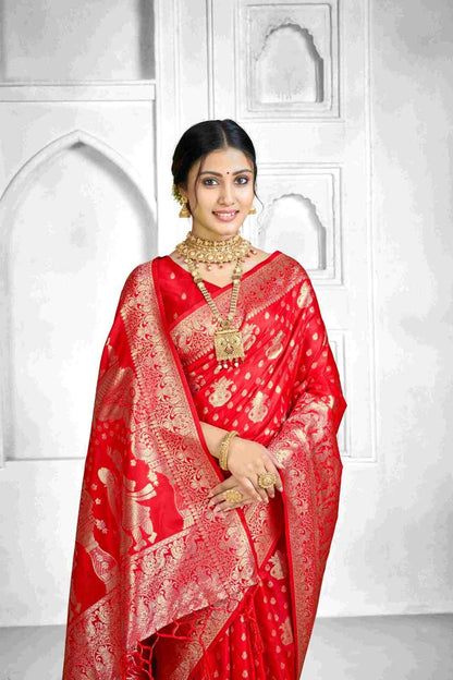 Catalog Designer Saree.