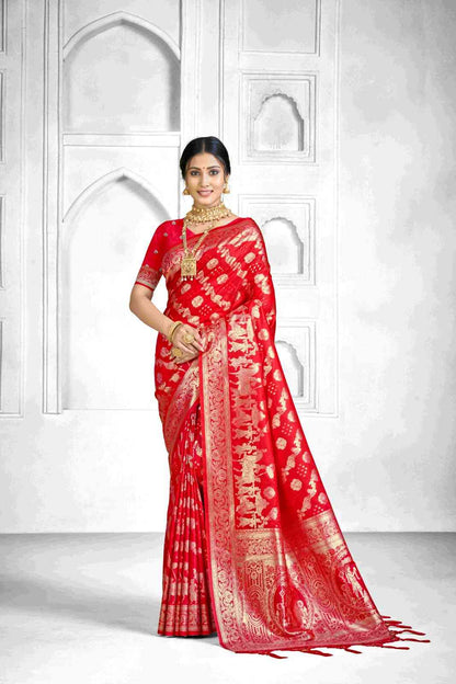 Catalog Designer Saree.