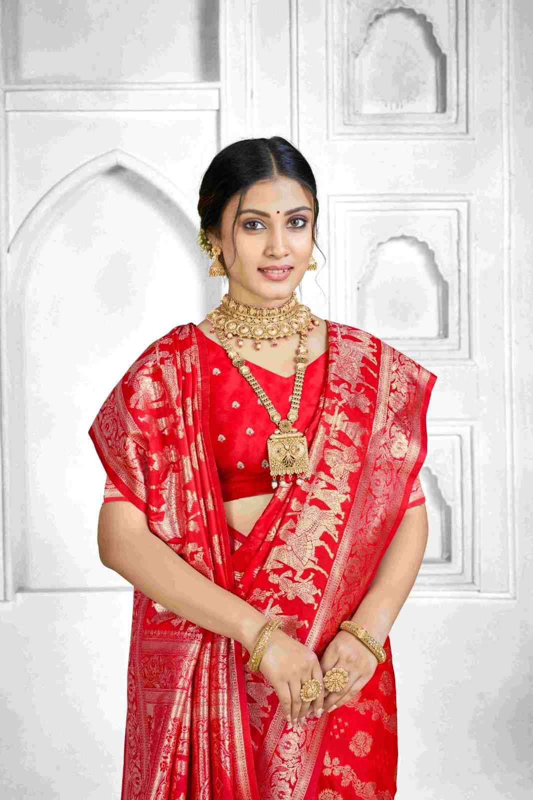 Catalog Designer Saree.