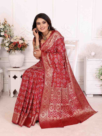 Catalog Designer Saree.