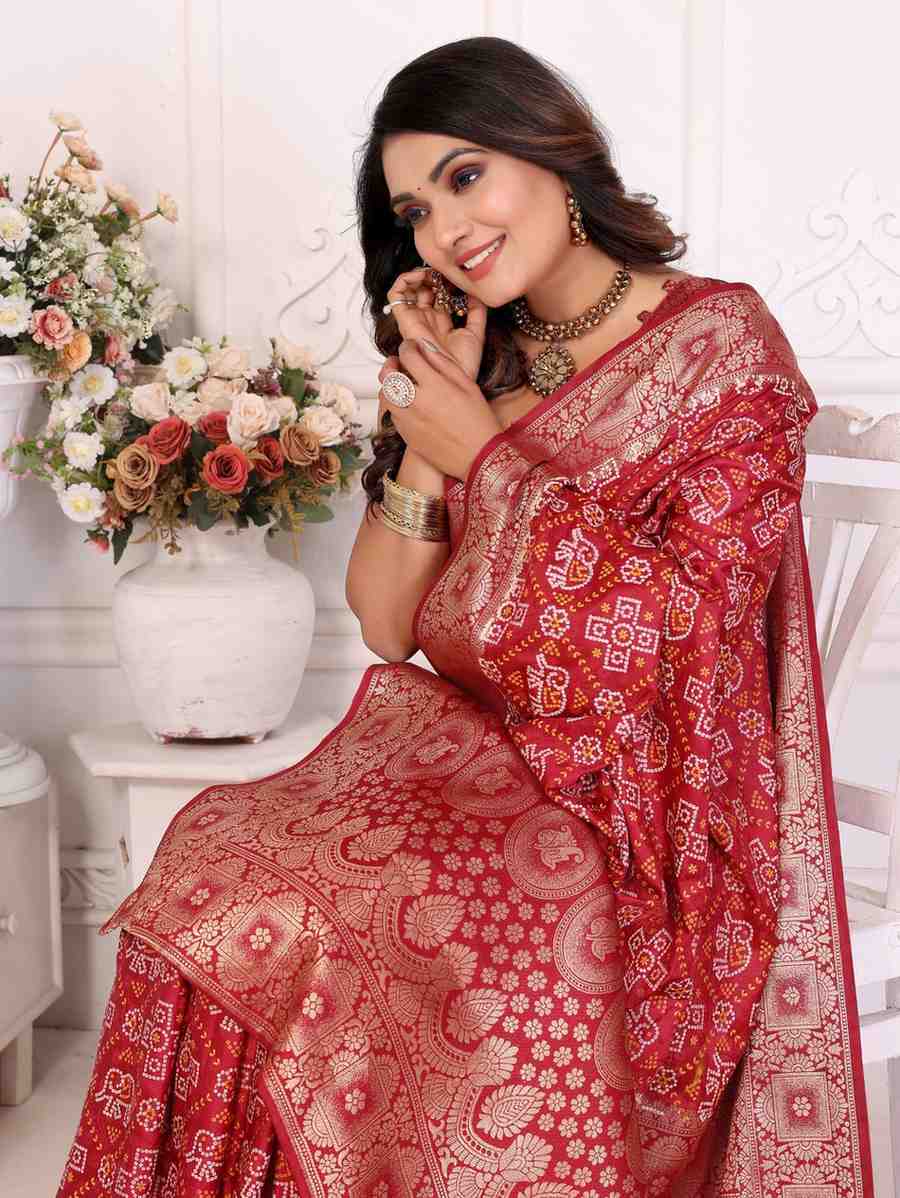 Catalog Designer Saree.