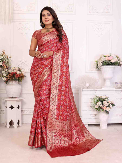 Catalog Designer Saree.