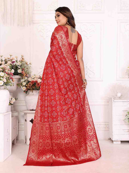 Catalog Designer Saree.