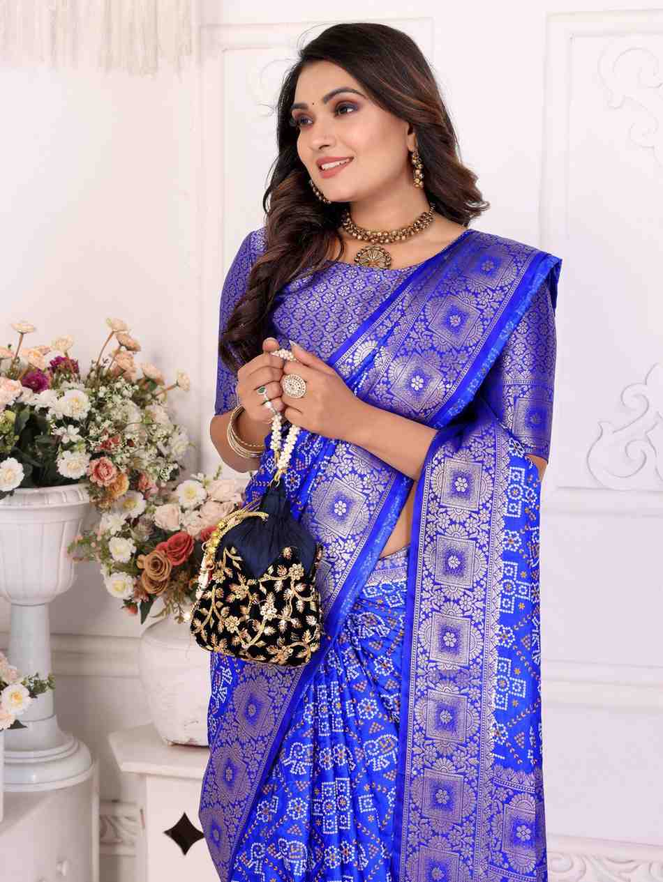 Catalog Designer Saree.