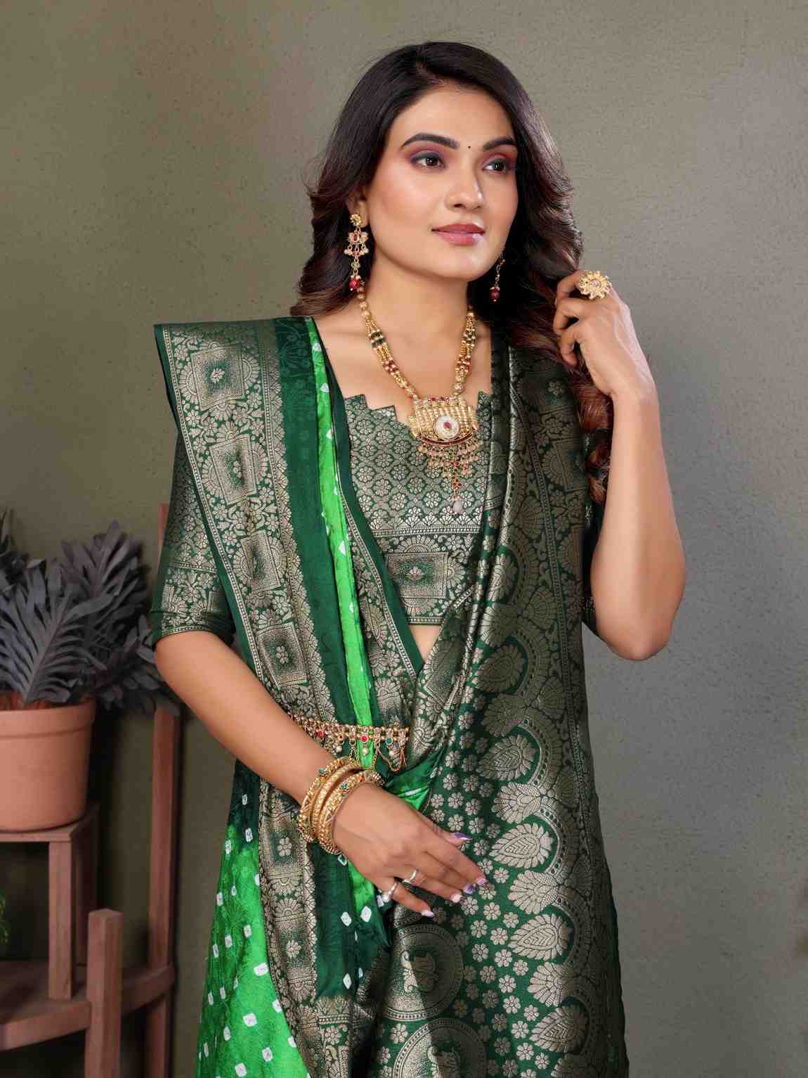 Catalog Designer Saree.