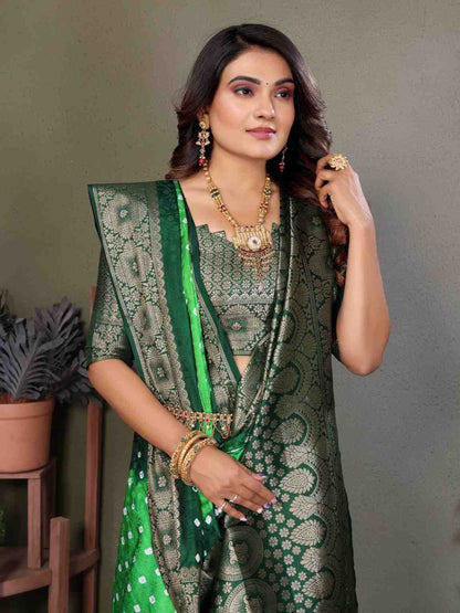 Catalog Designer Saree.