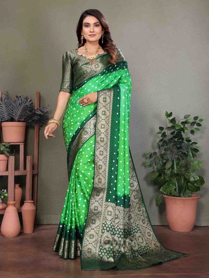 Catalog Designer Saree.