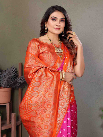 Catalog Designer Saree.