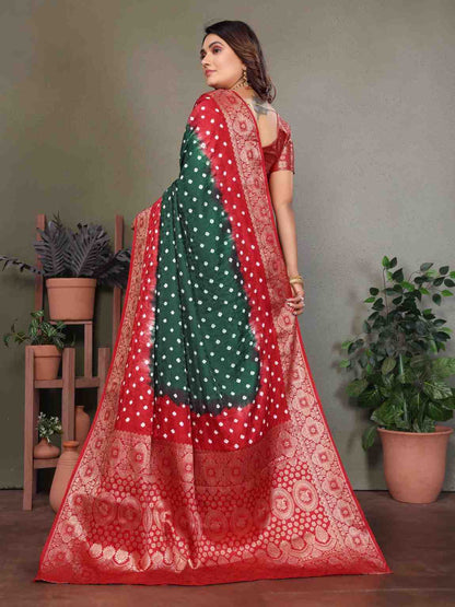 Catalog Designer Saree.