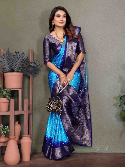 Catalog Designer Saree.