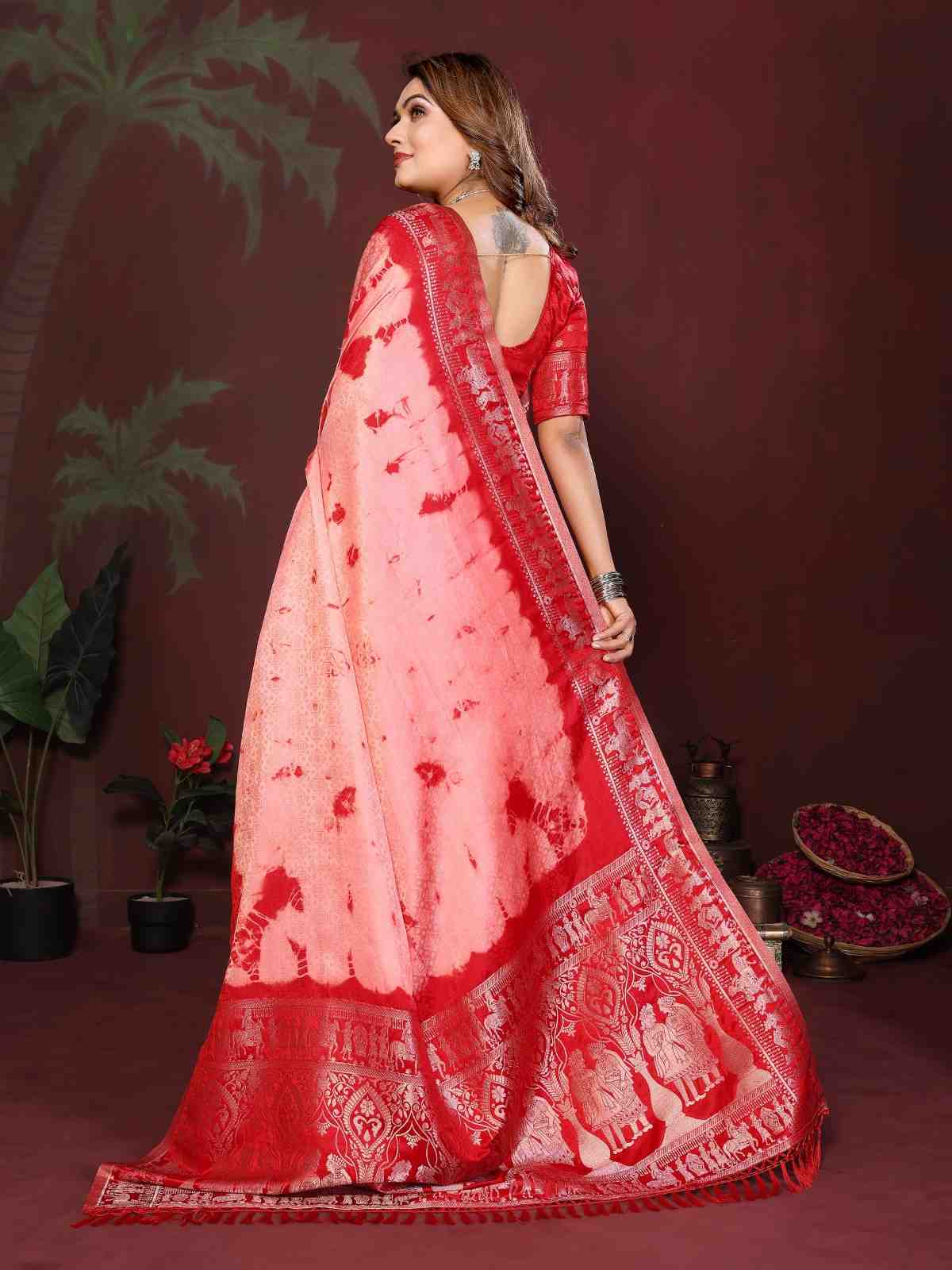 Catalog Designer Saree.