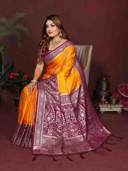 Catalog Designer Saree.