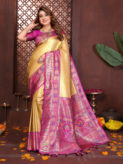 Catalog Designer Saree.
