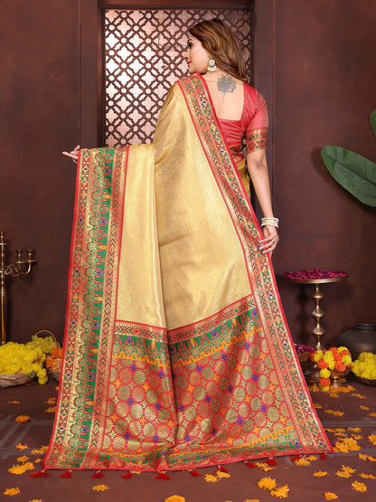 Catalog Designer Saree.
