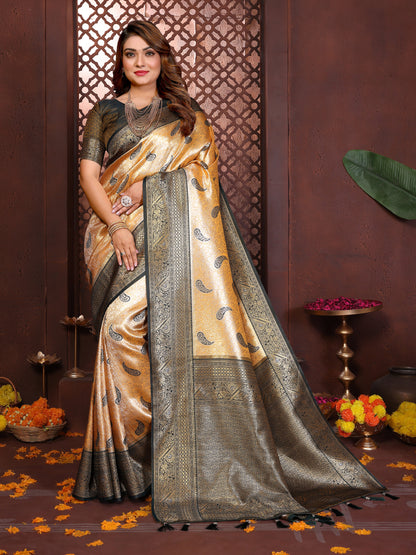 Catalog Designer Saree.