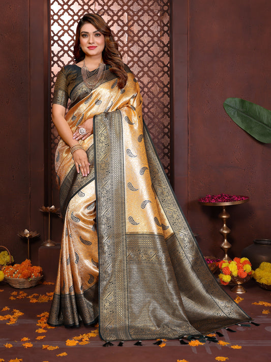 Catalog Designer Saree.