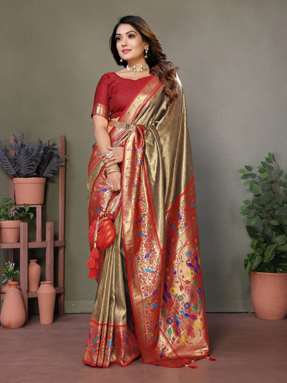 Catalog Designer Saree.