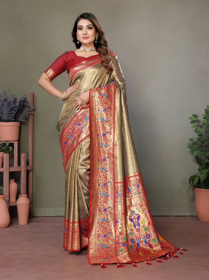 Catalog Designer Saree.