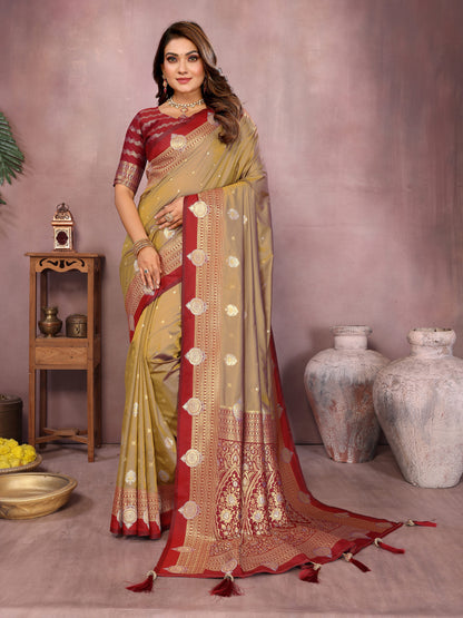 Catalog Designer Saree.