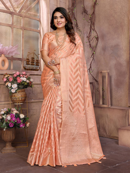 Catalog Designer Saree.
