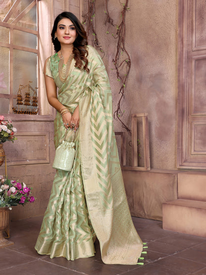 Catalog Designer Saree.