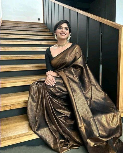 Catalogue Designer Silk Saree