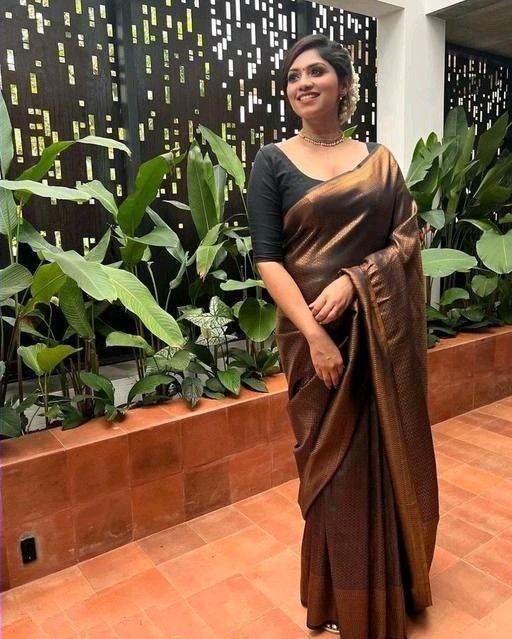 Catalogue Designer Silk Saree