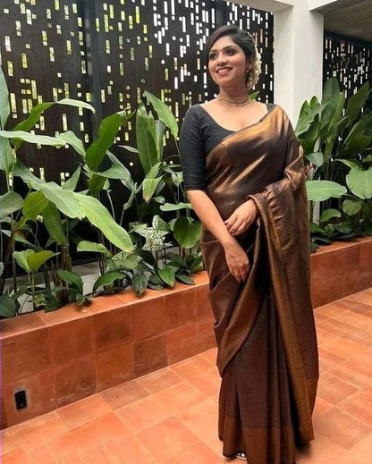 Catalogue Designer Silk Saree