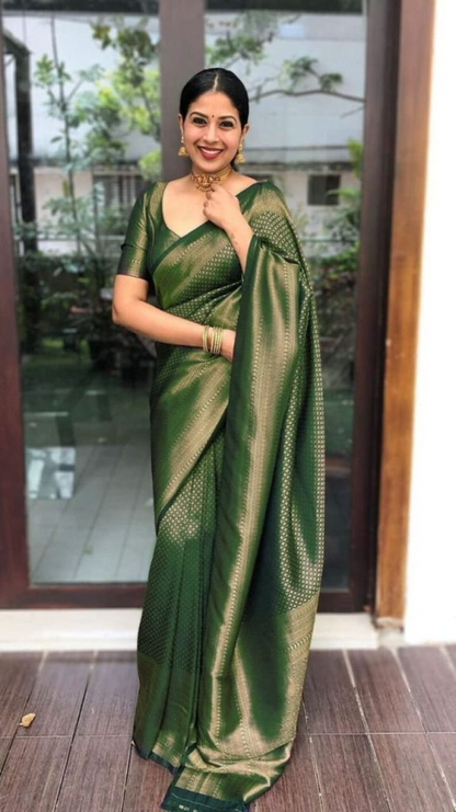 Catalogue Designer Silk Saree