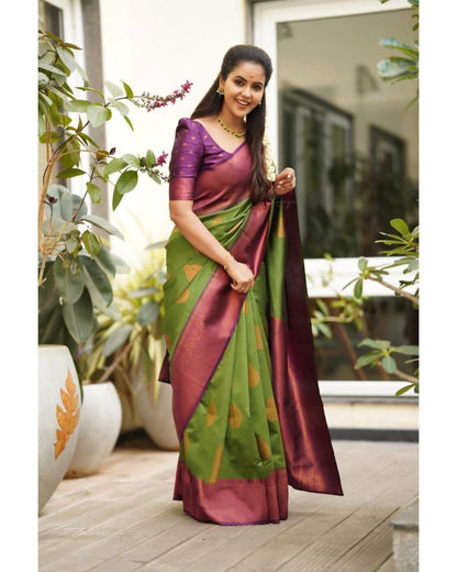 Catalogue Designer Silk Saree