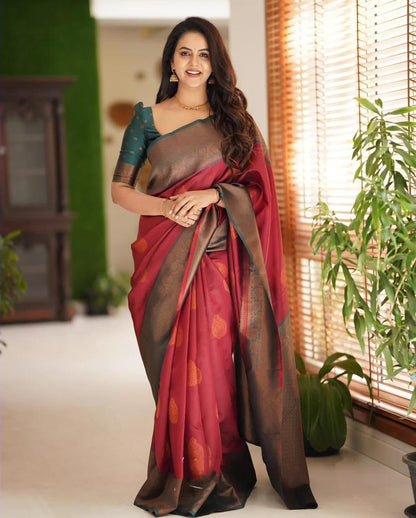Catalogue Designer Silk Saree