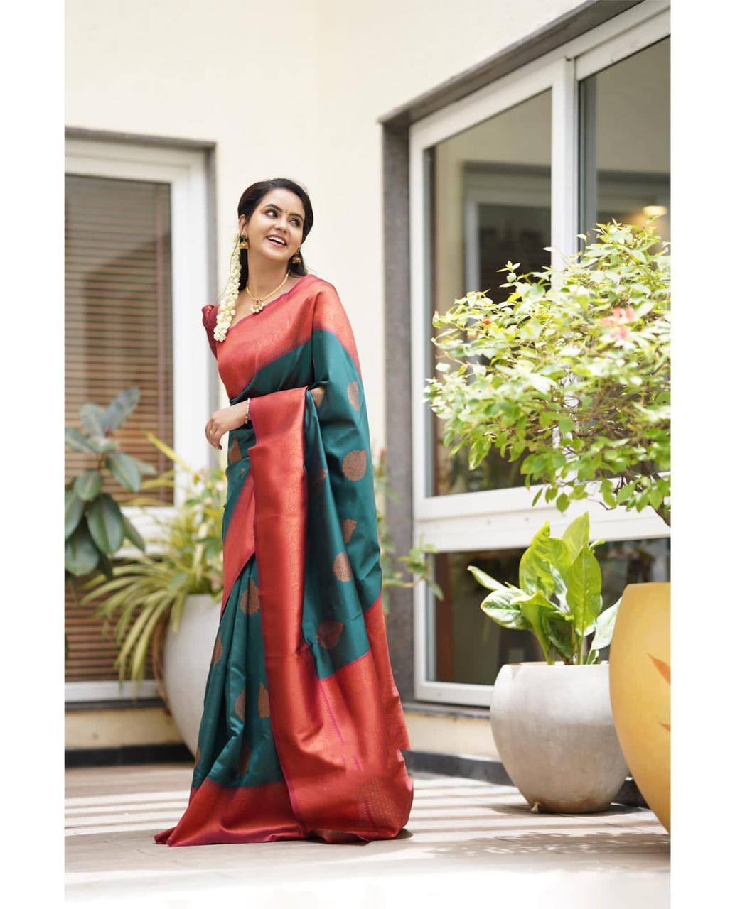 Catalogue Designer Silk Saree