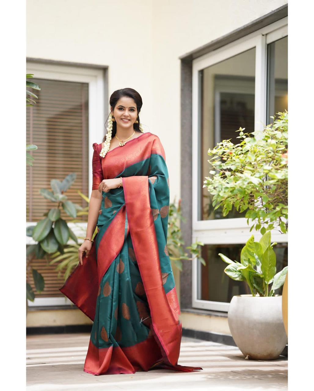 Catalogue Designer Silk Saree