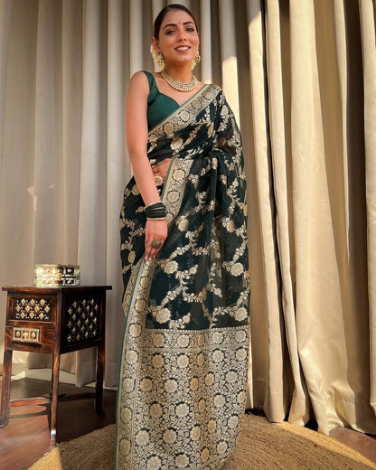 Catalogue Designer Silk Saree