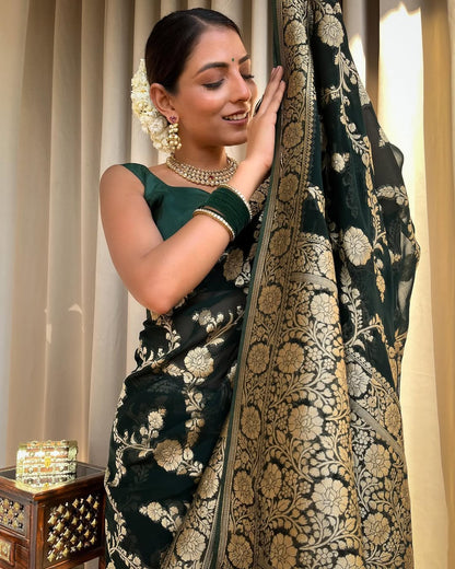 Catalogue Designer Silk Saree