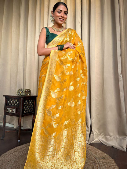 Catalogue Designer Silk Saree