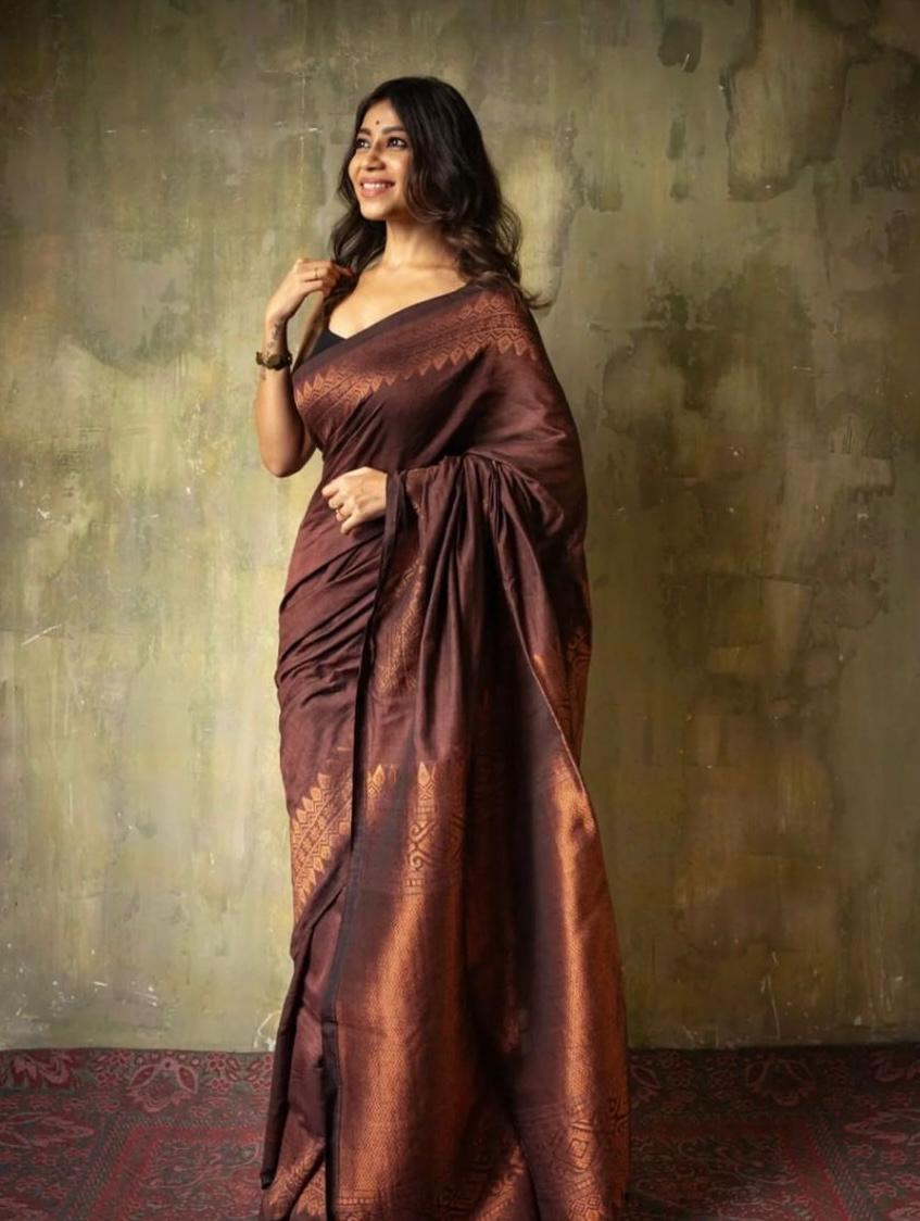 Catalogue Designer Silk Saree