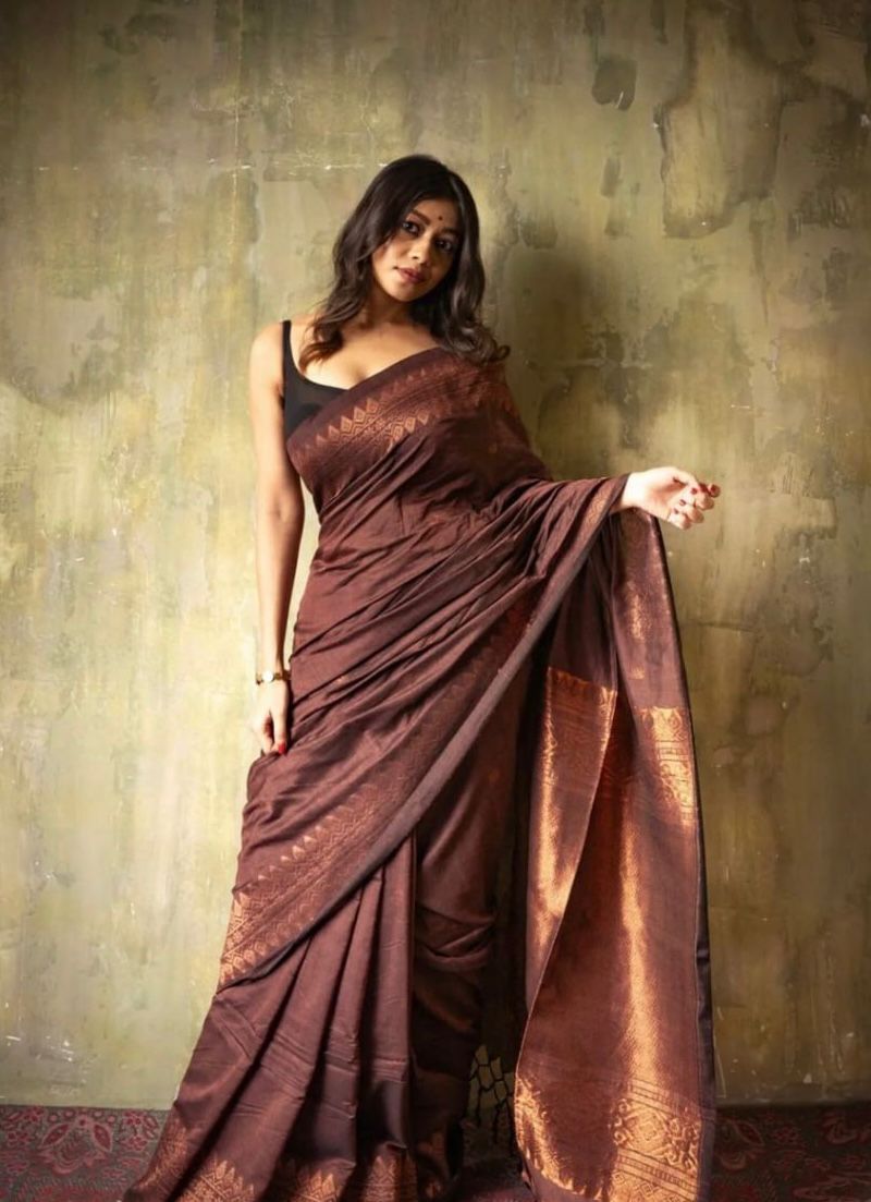 Catalogue Designer Silk Saree