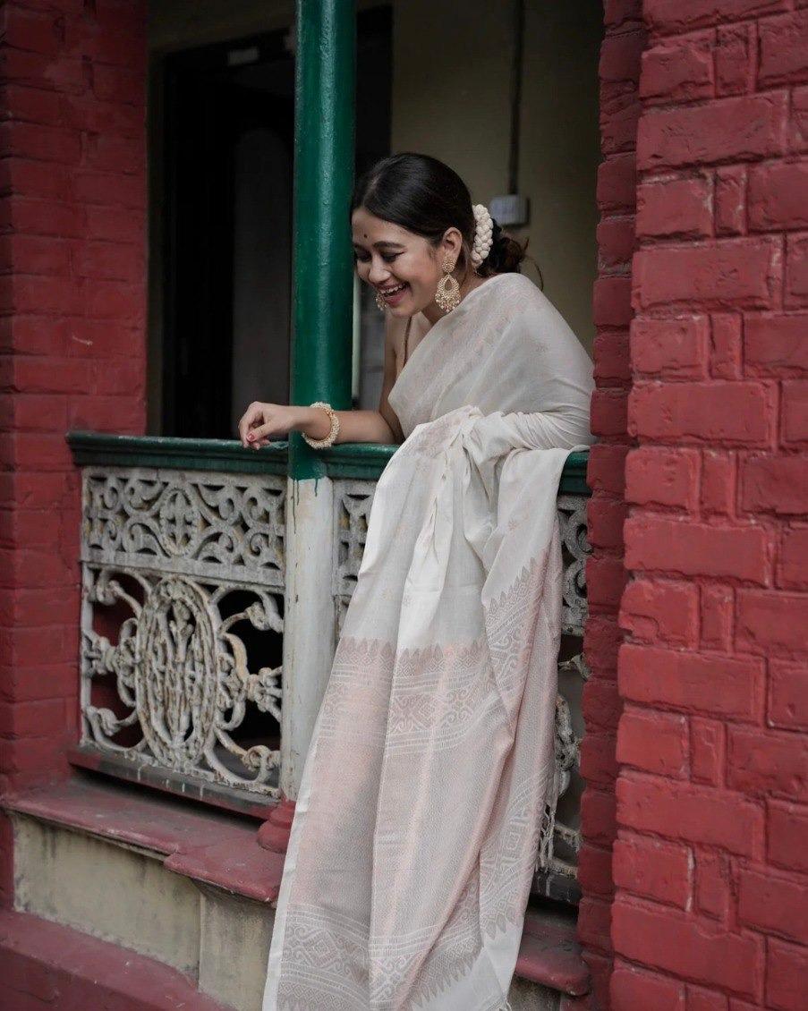 Catalogue Designer Silk Saree