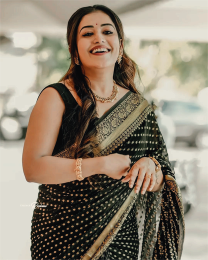 Catalogue Designer Silk Saree