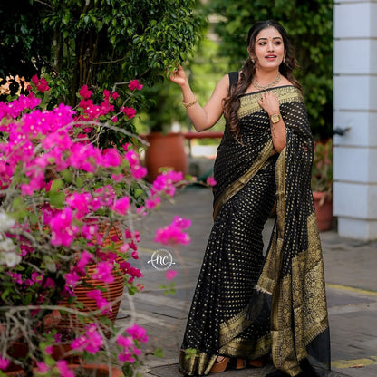 Catalogue Designer Silk Saree