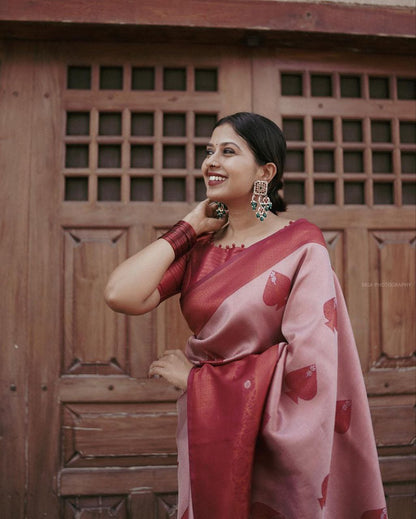 Catalogue Designer Silk Saree