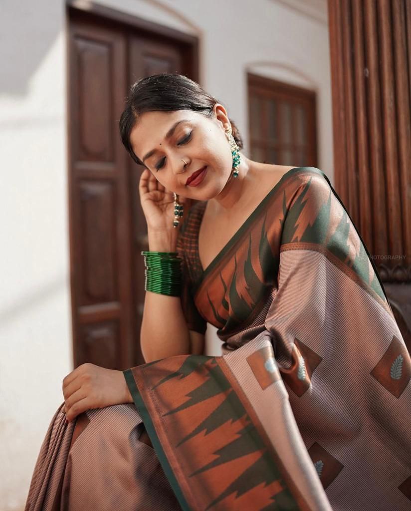 Catalogue Designer Silk Saree