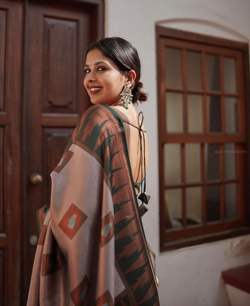 Catalogue Designer Silk Saree