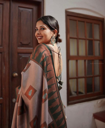Catalogue Designer Silk Saree